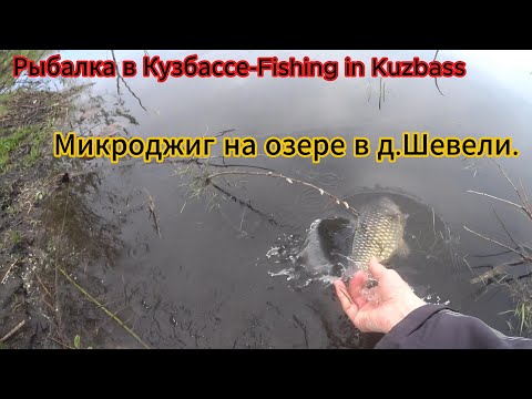 Видео: Рыбалка на микроджиг. Первый раз на озере в д. Шевели.
