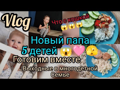 Видео: новый папа 5 детей 😱 что с кошкой 🫣