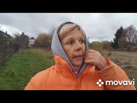 Видео: ЖИВЕМ В ДЕРЕВНЕ/ БЕЛАРУСЬ.Считаю быстро/ Чебуреки моего детства.