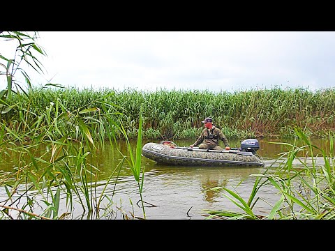 Видео: Я его НАШЕЛ!!! ЭТО ЖОР какой-то!!! РЫБАЛКА в ДИКИХ местах!