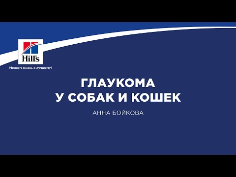 Видео: Вебинар на тему: “Глаукома у собак и кошек”. Лектор - Анна Бойкова.