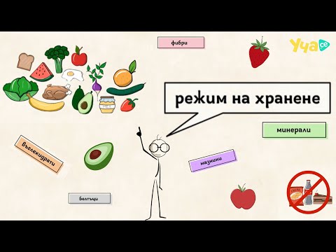 Видео: Какво е хигиена на храносмилателната система?