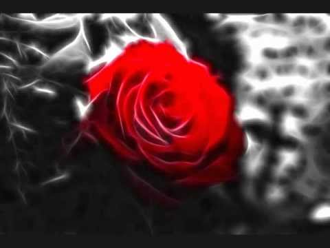 Видео: Таулан Тамбиев-  Чужая невеста