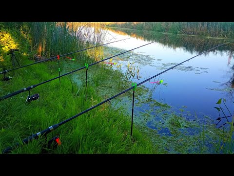 Видео: РЫБАЛКА С НОЧЕВКОЙ НА РЕКЕ. Ловля карася и лещя на кормаки