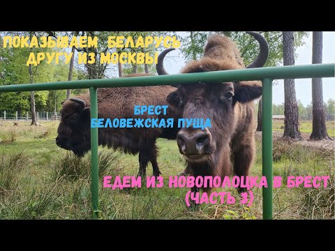 Видео: Показываем Беларусь другу из Москвы (часть 3)