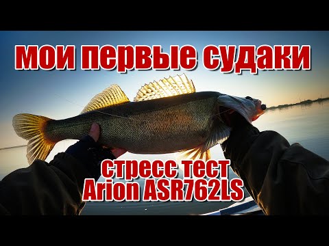 Видео: В поисках судака | Стресс тест Arion ASR762LS | Приманка которая сделала рыбалку по судаку