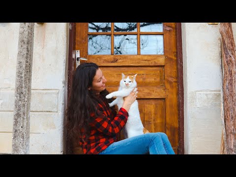 Видео: РЕМОНТ НА СТАРА КЪЩА | Живот на село + реставрирахме старата врата | Boho Soulz