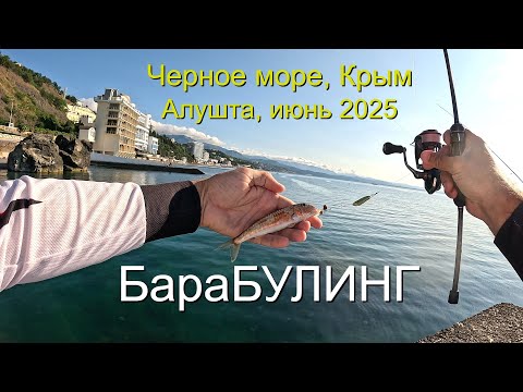 Видео: Оторвались по барабульке в Алуште! Июньский бараБУЛИНГ-2025 с побережья Черного моря