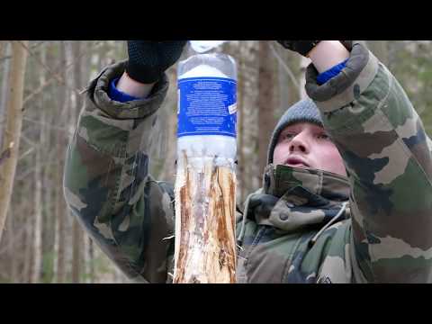 Видео: Солонец для зайца