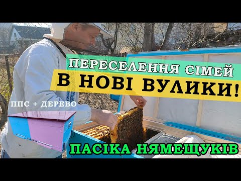 Видео: Переселення і "обзор" нових вуликів, ППС + дерево!