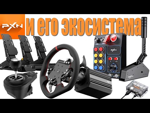 Видео: PXN и его экосистема/отзыв после двух лет