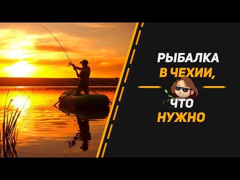 Видео: РЫБАЛКА В ЧЕХИИ, ЧТО НУЖНО