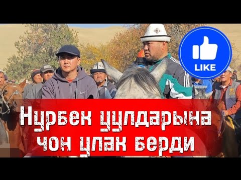 Видео: Нурбектин Уулдарына берген улагы 