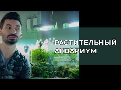 Видео: Аквариум с растениями.