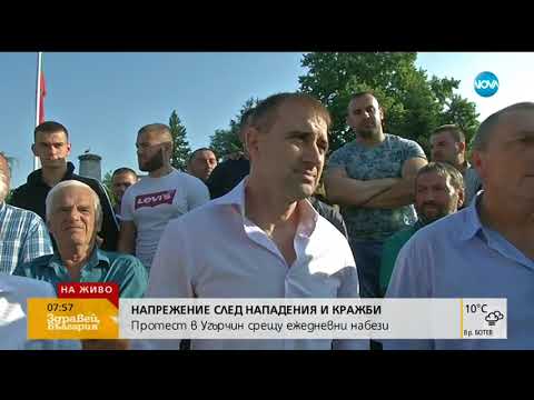 Видео: Мъже вилняха с брадви и ножове в Угърчин - Здравей, България (13.06.2018г.)