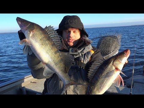 Видео: ПОПАЛИ НА ЖОР ТРОФЕЙНОГО СУДАКА ЗИМОЙ! Зимний спиннинг! Рыбалка от Михалыча!