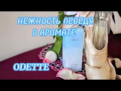 Видео: Нежность  лебедя в аромате Карлы Фраччи   ODETTE #fragrance #perfume #perfumecollection #духи