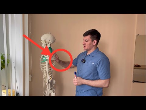 Видео: Сутулость. Причины. Упражнения. Лопатка. Трапециевидная мышца