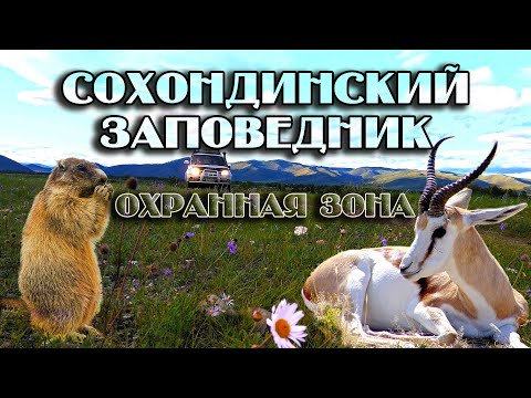 Видео: Сохондинский заповедник. Охранная зона. Интересные места Забайкалья