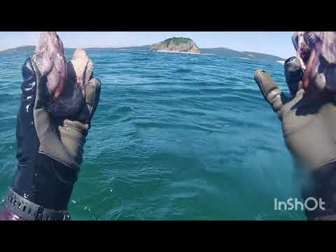 Видео: Затонувший корабль! Остров Клыкова