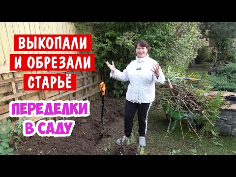 Видео: Что мы натворили? Обрезали и убрали то, что росло 16 лет 🙈 Переделки в саду.