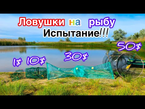 Видео: Ловушки на рыбу. Испытание от самой дешёвой до самой дорогой. Челлендж