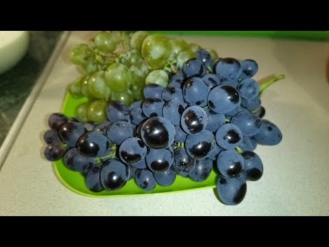 Видео: Дружковка 12 сентября 2025 г.