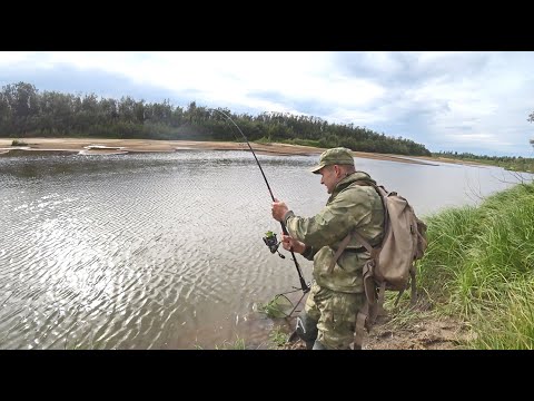 Видео: ВОТ ЭТО ЯМУ Я НАШЕЛ, РЫБА БЕРЕТ НА КАЖДЫЙ ЗАБРОС!!! Приманка  работает как надо!!! Рыбалка в ручье!