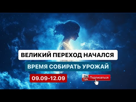 Видео: 👑ВЕЛИКИЙ ЭКЗАМЕН 👁️‍🗨️ЧЕЛОВЕЧЕСТВА уже начался! 🌎 В твоей новой мерности не будет больше запугиваний