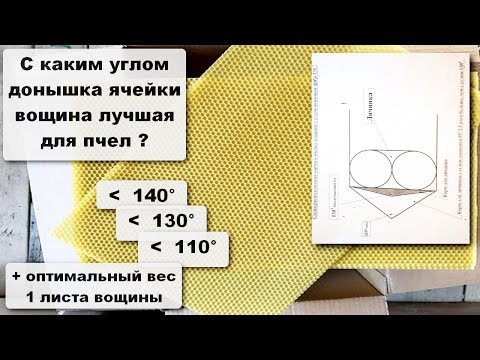 Видео: С каким углом донышка ячейки #вощина лучшая для пчел ?