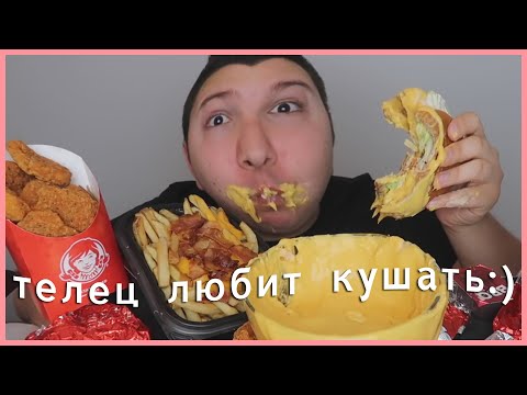 Видео: знаки зодиака как никокадо авокадо