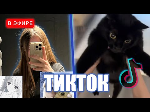Видео: ЛИЗА СМОТРИТ ТИКТОКИ #17 | iceicell