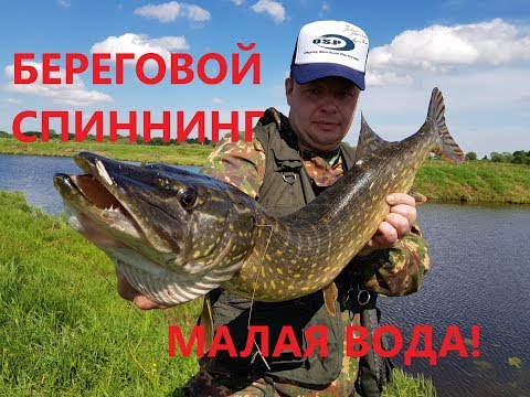 Видео: Крутая Рыбалка на Щуку в Канаве! Адреналин и Смех до Слез!