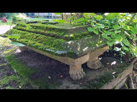 Видео: ГОРОД МЕРТВЫХ: Усть-Ижорский некрополь. (СПб).