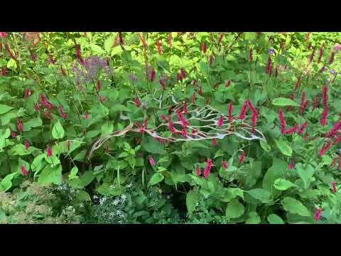 Видео: Ландшафтные каникулы продолжаются. Угадаете сады?