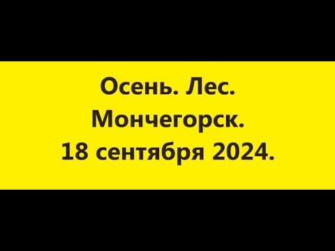 Видео: Осень.  Лес.  Мончегорск.  18. 09. 24.