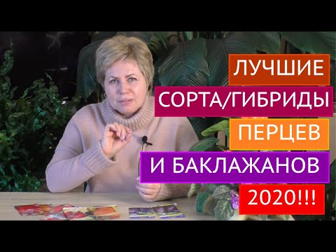 Видео: ЭТИ ПЕРЦЫ И БАКЛАЖАНЫ БЫЛИ ЛУЧШИМИ НА МОИХ ГРЯДКАХ В ЭТОМ ГОДУ!!!