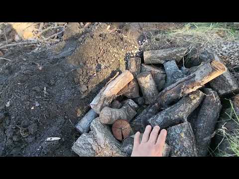 Видео: Азимина, посадка по мотивам  Hügelkultur