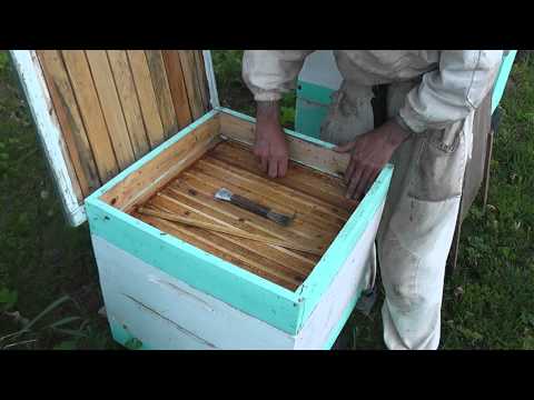 Видео: метод Цебро работа №12+ импровизация