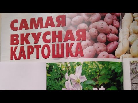 Видео: Лучшие сорта картофеля.