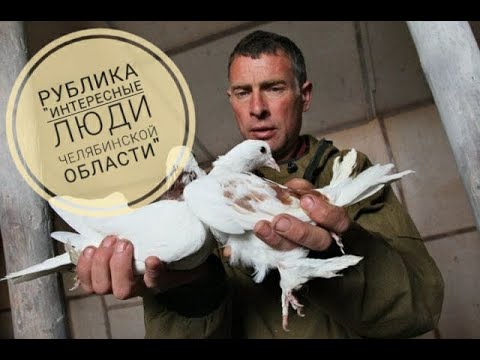 Видео: Четвертак Николай/ Разведение породистых голубей. г. Чебаркуль.