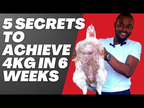 Видео: 5 секретов, как похудеть на 4 кг за 6 недель.