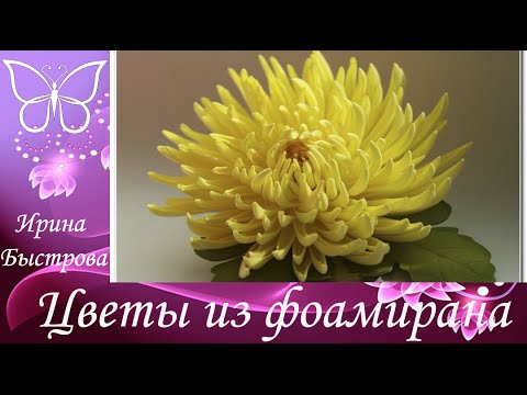 Видео: Хризантема из фоамирана.