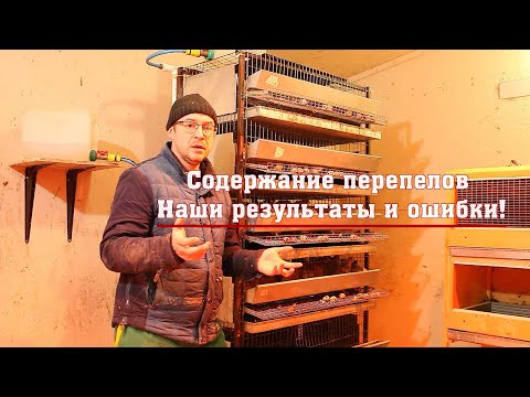 Видео: Содержание перепелов. Наши результаты и ошибки!