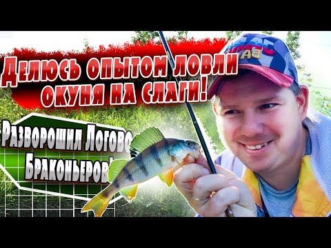 Видео: Микроджиг | Ловля окуня на слаги JARA BAITS | Делюсь наработками