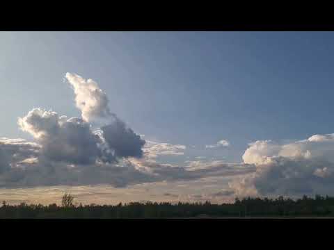 Видео: 23 августа 2024 г.