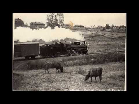 Видео: бутурлиновка