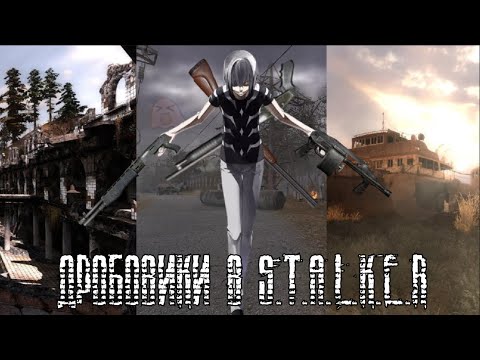 Видео: ДРОБОВИКИ В СТАЛКЕР РЕАЛЬНО ПЛОХИЕ? ПРОВЕРКА ДОБОВИКОВ ВО ВСЕХ ЧАСТЯХ STALKER.