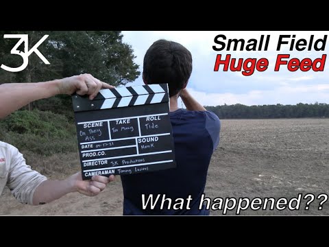 Видео: Охота на канадскую казарку | Большой корм на маленьком поле |