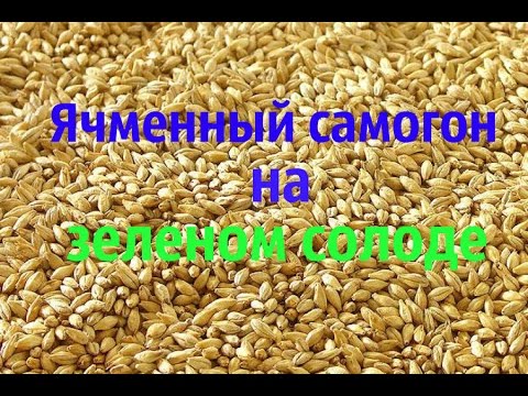 Видео: Домашний самогон из ячменя на "зеленом" солоде. Часть 1 (приготовление браги).